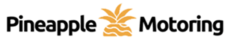 Pineapple Logo